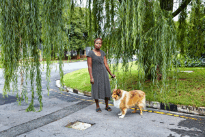 Joyce with Mo, Corner Westwold Way and Lynstanwold Road, Saxonwold, Johannesburg, South Africa, 2014