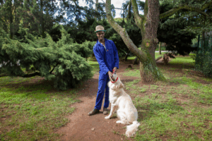 Melusi and Kimba, Prince of Wales Drive, Parkwood, Johannesburg, South Africa, 2014