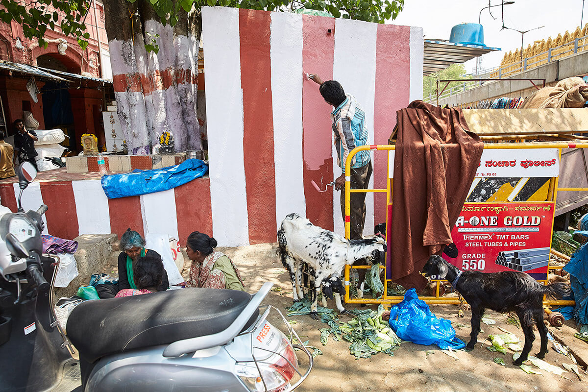 South African documentary and portrait photography by Marc Shoul